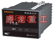 溫度表、數(shù)字顯示儀、濕度表