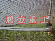 大棚花卉供暖設(shè)備、大棚卉采暖設(shè)備、大棚花卉取暖設(shè)備