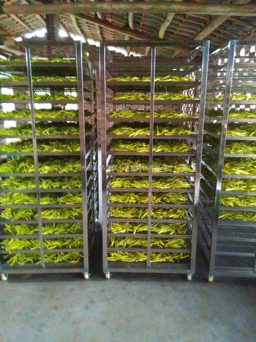 黃花菜烘干機(jī)、黃花菜烘干設(shè)備、黃花菜干燥機(jī)、黃花菜干燥設(shè)備、